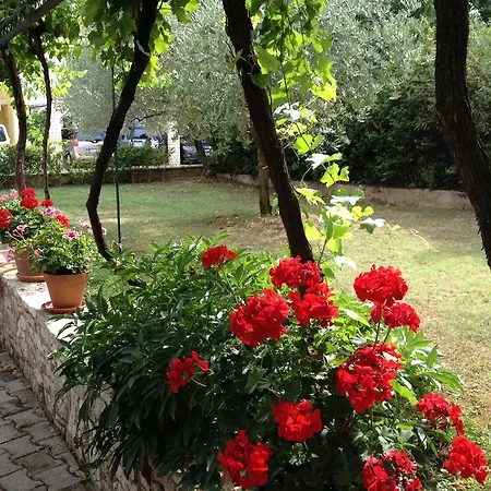 R Apartment Rovinj